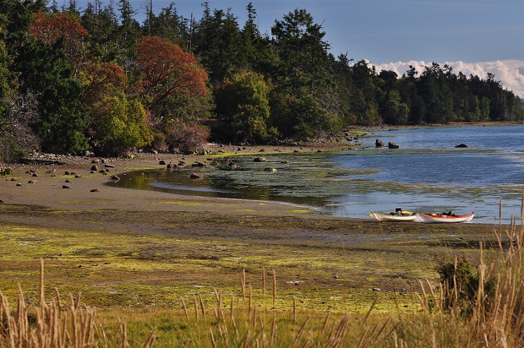 the lagoon